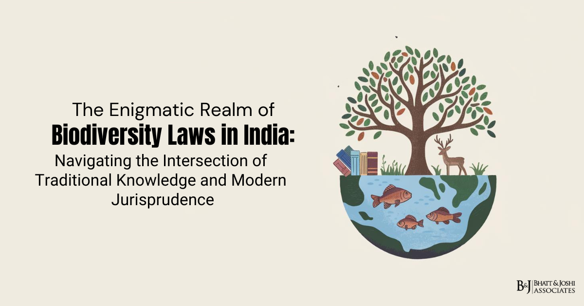 The Enigmatic Realm of Biodiversity Laws in India: Navigating the Intersection of Traditional Knowledge and Modern Jurisprudence