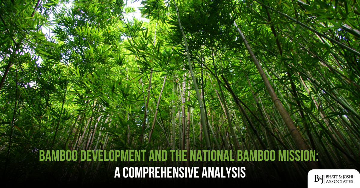 Bamboo Development and the National Bamboo Mission: A Comprehensive Analysis