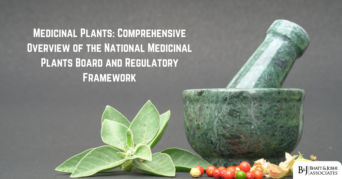 Medicinal Plants in India: Comprehensive Overview of the National Medicinal Plants Board and Regulatory Framework